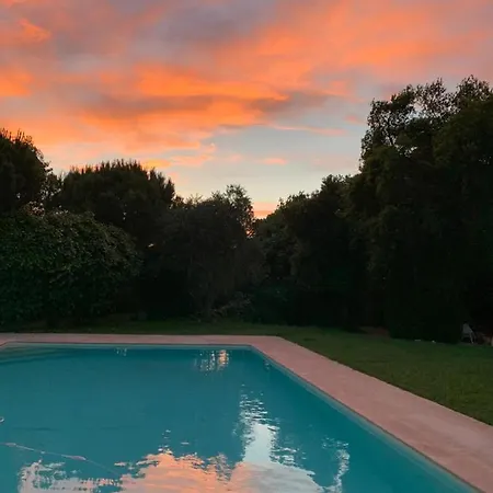 לינה וארוחת בוקר Le Jardin De Lacoste נרבון