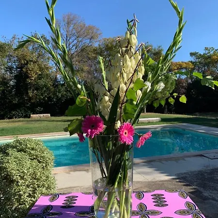 Le Jardin De Lacoste
