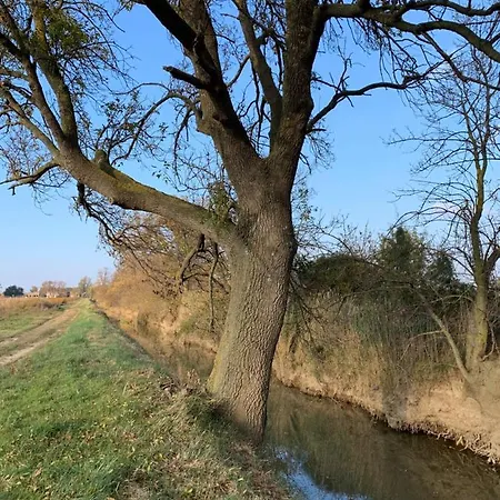 Le Jardin De Lacoste 纳博讷