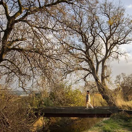 住宿加早餐酒店 Le Jardin De Lacoste 纳博讷