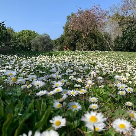 住宿加早餐酒店 Le Jardin De Lacoste 纳博讷