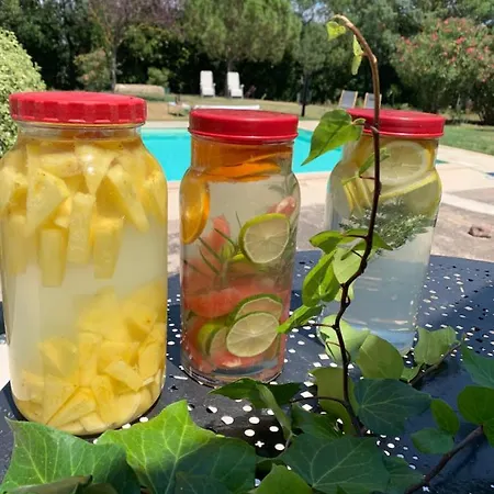 Le Jardin De Lacoste נרבון