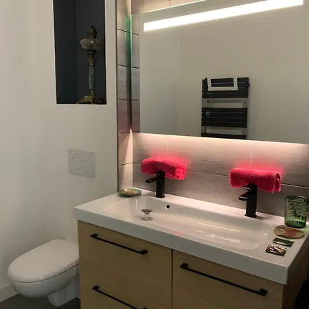 住宿加早餐酒店 Le Jardin De Lacoste