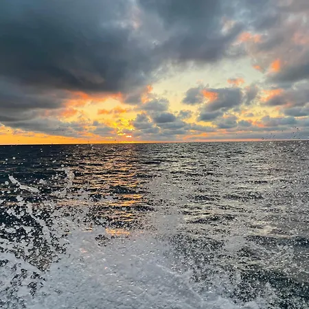 住宿加早餐酒店 Le Jardin De Lacoste 4*