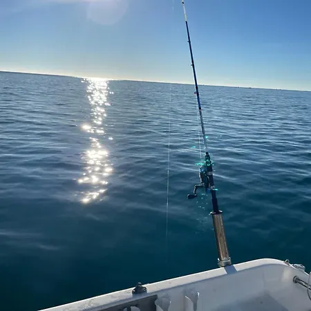 Le Jardin De Lacoste