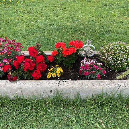 Le Jardin De Lacoste 纳博讷