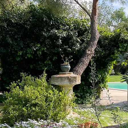 Le Jardin De Lacoste 纳博讷