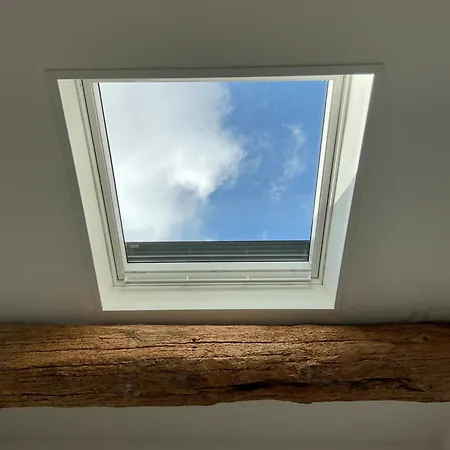 Le Jardin De Lacoste 纳博讷