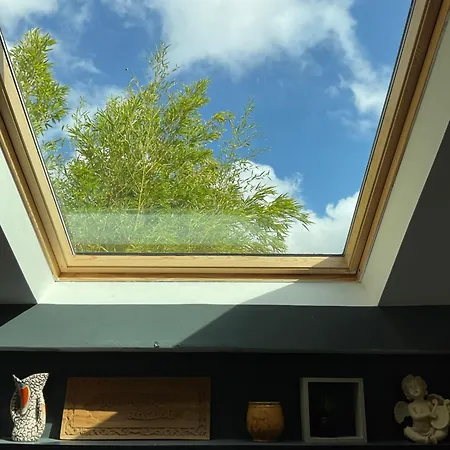 Le Jardin De Lacoste