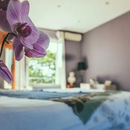 Le Jardin De Lacoste Bed & Breakfast
