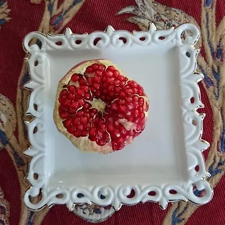 Le Jardin De Lacoste נרבון