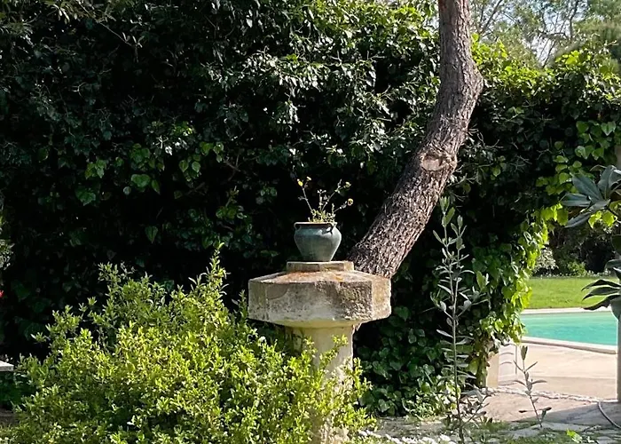 Le Jardin De Lacoste 나르본
